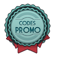 Code promo Thème Wordpress